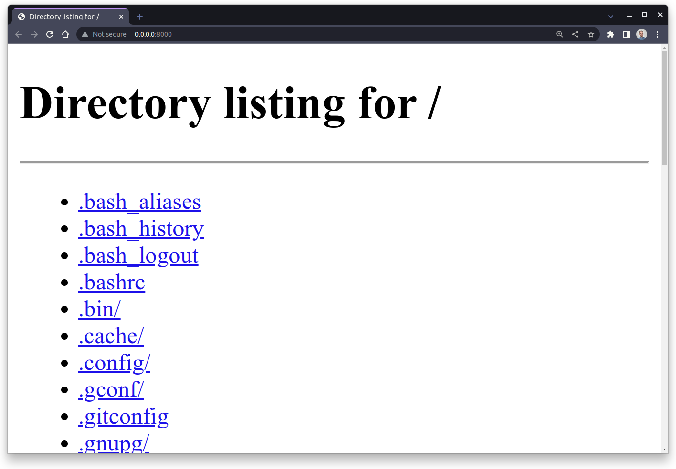 Directory Listing Generated by Python's HTTP Server